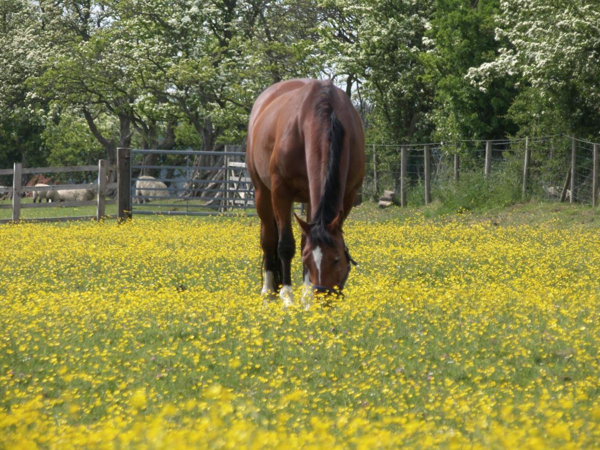 Willa Crane Field Laithe Airton Zewnętrze zdjęcie